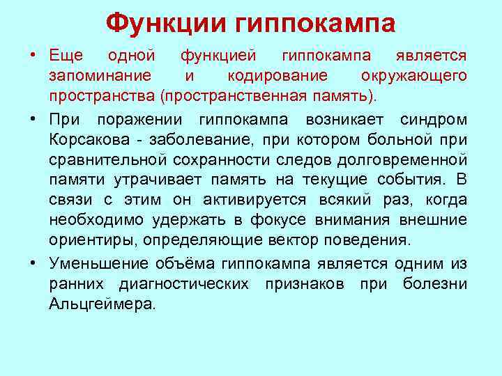 Функции гиппокампа • Еще одной функцией гиппокампа является запоминание и кодирование окружающего пространства (пространственная