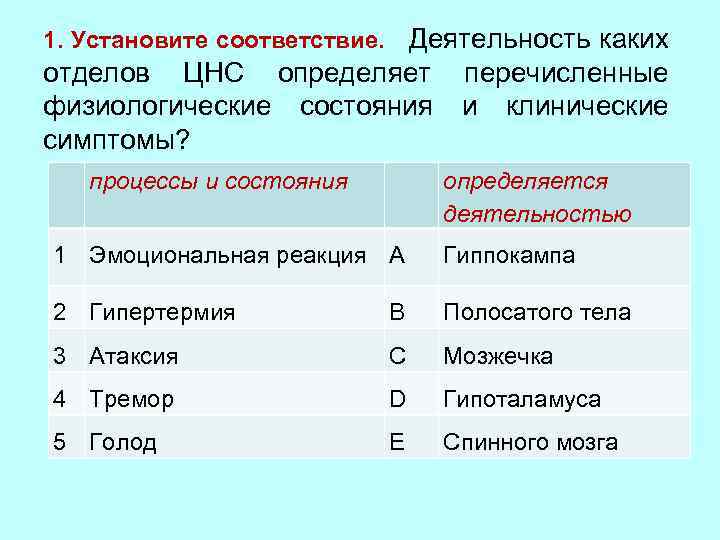 1. Установите соответствие. Деятельность каких отделов ЦНС определяет физиологические состояния симптомы? процессы и состояния