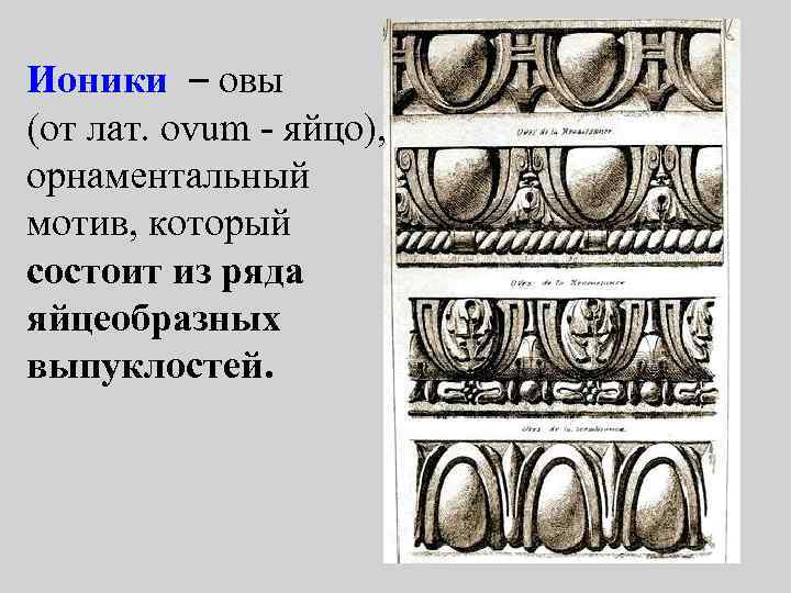 Ионики – овы (от лат. ovum - яйцо), орнаментальный мотив, который состоит из ряда