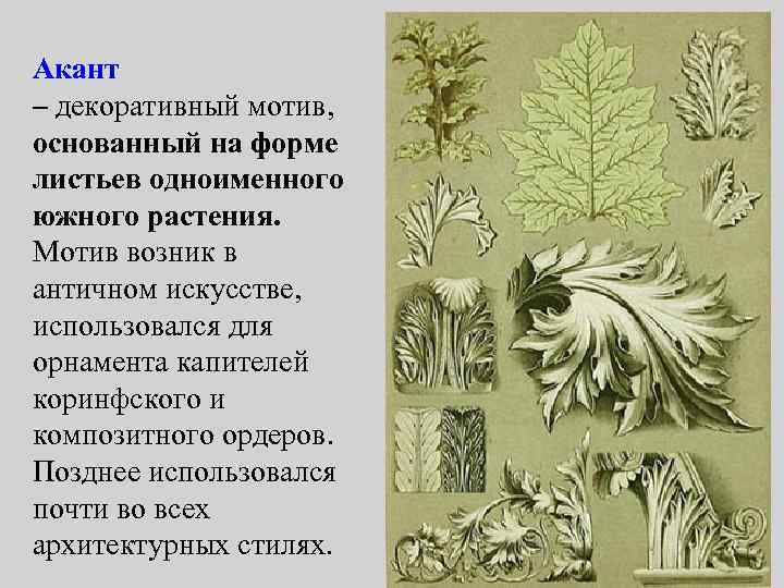 Акант – декоративный мотив, основанный на форме листьев одноименного южного растения. Мотив возник в