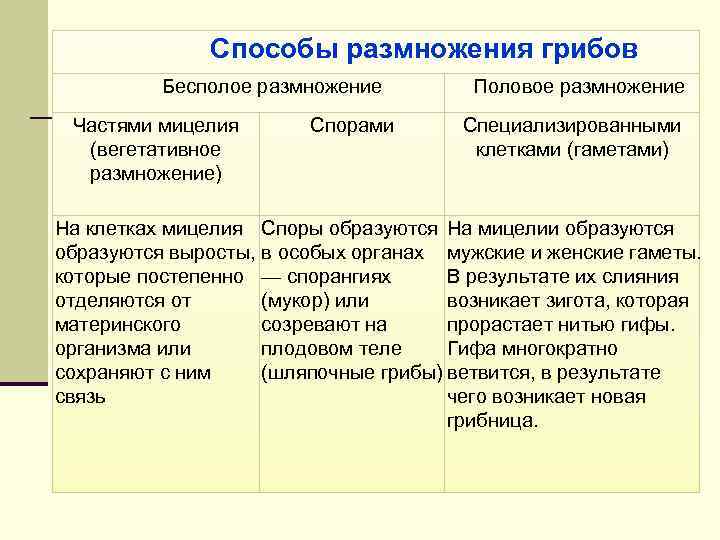 Способы размножения грибов Бесполое размножение Частями мицелия (вегетативное размножение) Спорами Половое размножение Специализированными клетками