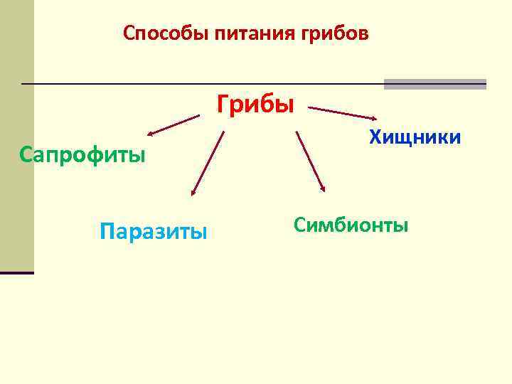 Способы питания грибов Грибы Сапрофиты Паразиты Хищники Симбионты 