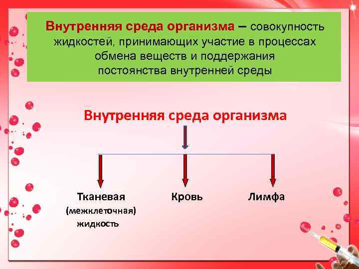 Внутренняя среда организма – совокупность жидкостей, принимающих участие в процессах обмена веществ и поддержания