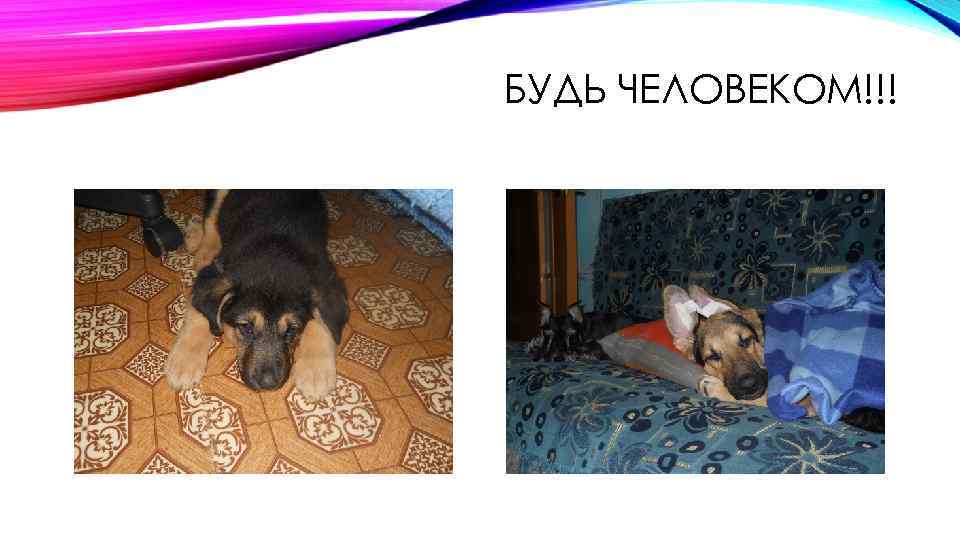 БУДЬ ЧЕЛОВЕКОМ!!! 