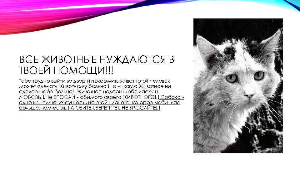 ВСЕ ЖИВОТНЫЕ НУЖДАЮТСЯ В ТВОЕЙ ПОМОЩИ!!! Тебе трудно-выйти во двор и покормить животного? Человек