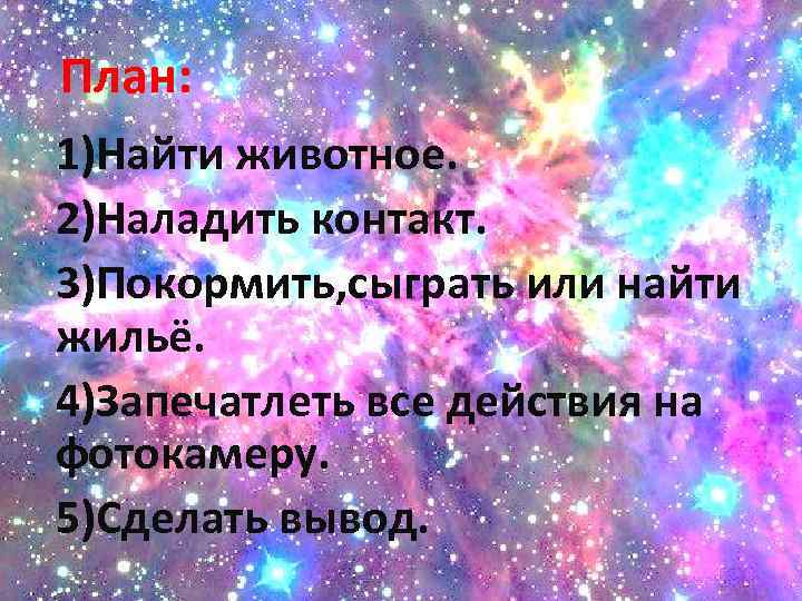 План счастья