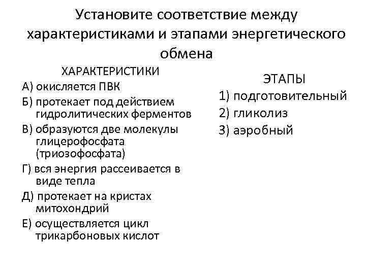 Установите соответствие между характеристиками и этапами энергетического обмена ХАРАКТЕРИСТИКИ А) окисляется ПВК Б) протекает
