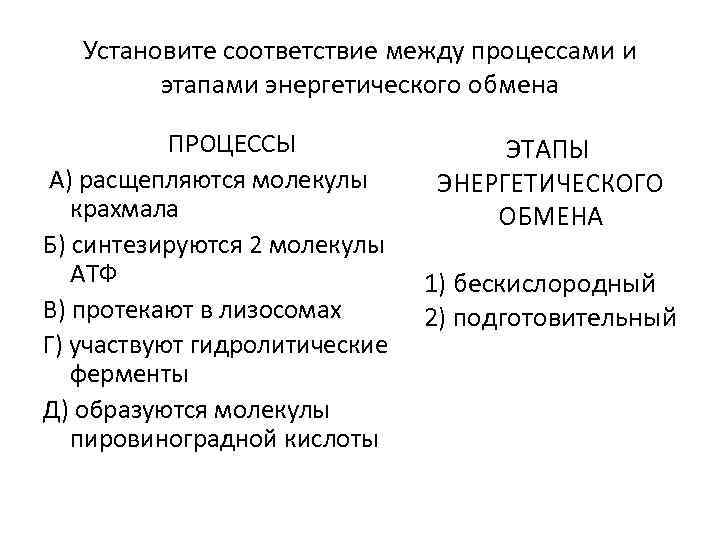 Установите соответствие между процессами и этапами энергетического обмена ПРОЦЕССЫ А) расщепляются молекулы крахмала Б)