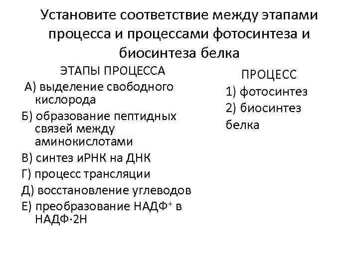 Установите соответствие между этапами процессами фотосинтеза и биосинтеза белка ЭТАПЫ ПРОЦЕССА А) выделение свободного