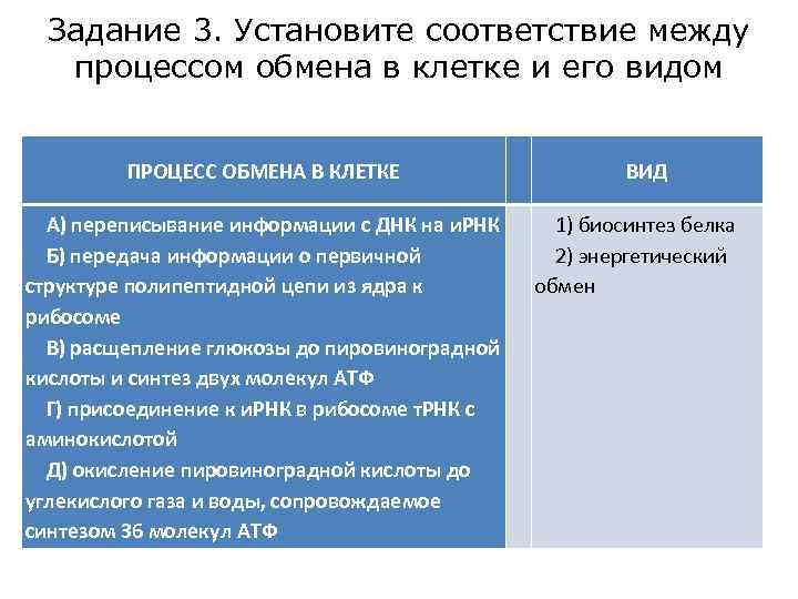 Задание 3. Установите соответствие между процессом обмена в клетке и его видом ПРОЦЕСС ОБМЕНА