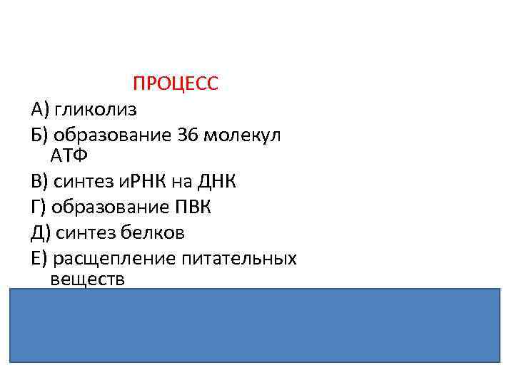 ПРОЦЕСС A) гликолиз Б) образование 36 молекул АТФ B) синтез и. РНК на ДНК