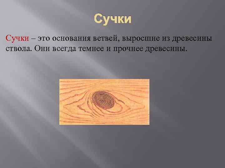 Сучки – это основания ветвей, выросшие из древесины ствола. Они всегда темнее и прочнее