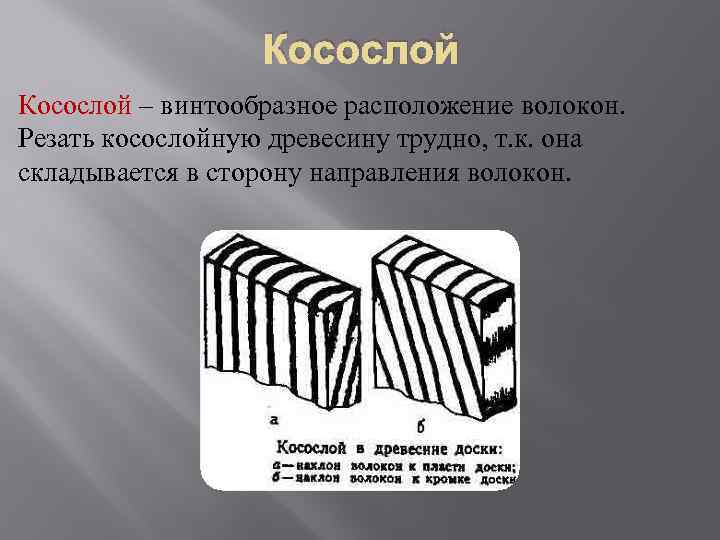 Косослой – винтообразное расположение волокон. Резать косослойную древесину трудно, т. к. она складывается в