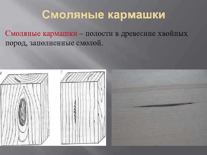 Рисунки пороки древесины