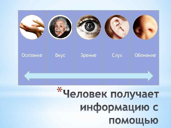 Осязание Вкус * Зрение Слух Обоняние 