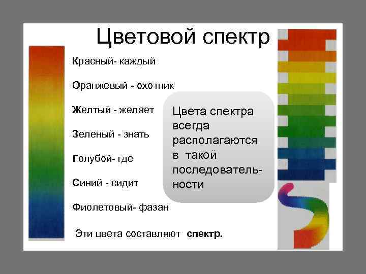 Порядки цветные. Цвета спектра. Цвета основного спектра. Цветовой спектр красный. Красный оранжевый желтый зеленый голубой синий.