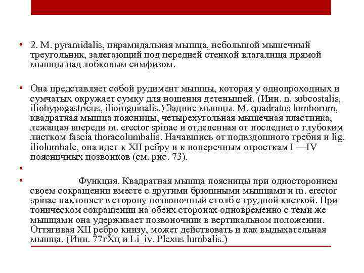  • 2. М. pyramidalis, пирамидальная мышца, небольшой мышечный треугольник, залегающий под передней стенкой