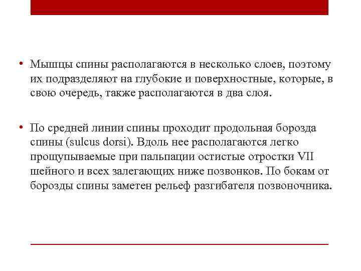  • Мышцы спины располагаются в несколько слоев, поэтому их подразделяют на глубокие и