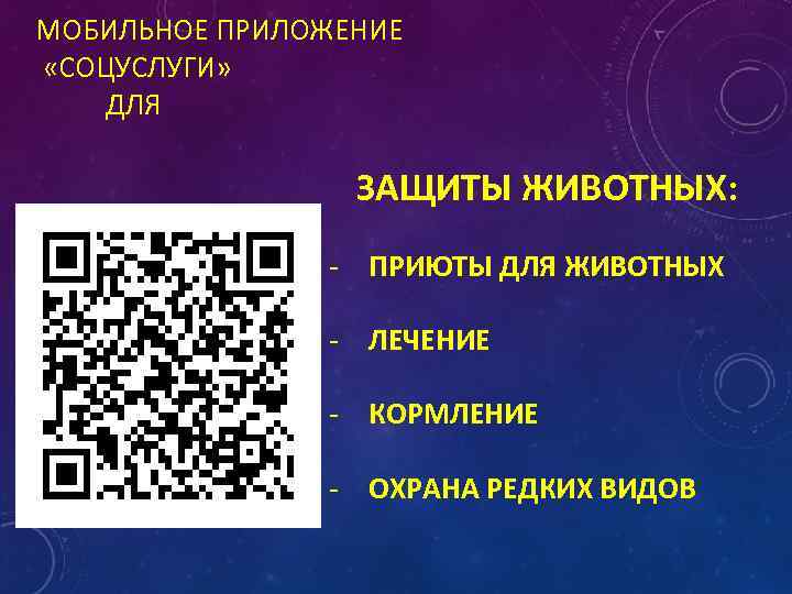 МОБИЛЬНОЕ ПРИЛОЖЕНИЕ «СОЦУСЛУГИ» ДЛЯ ЗАЩИТЫ ЖИВОТНЫХ: - ПРИЮТЫ ДЛЯ ЖИВОТНЫХ - ЛЕЧЕНИЕ - КОРМЛЕНИЕ