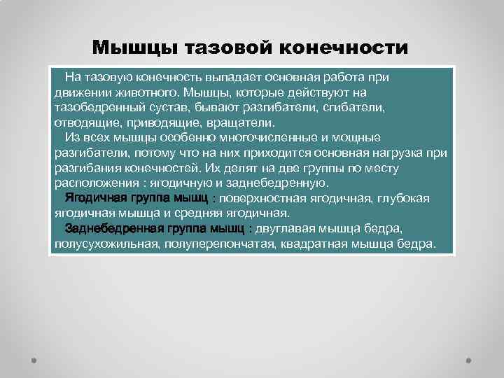 Мышцы тазовой конечности На тазовую конечность выпадает основная работа при движении животного. Мышцы, которые
