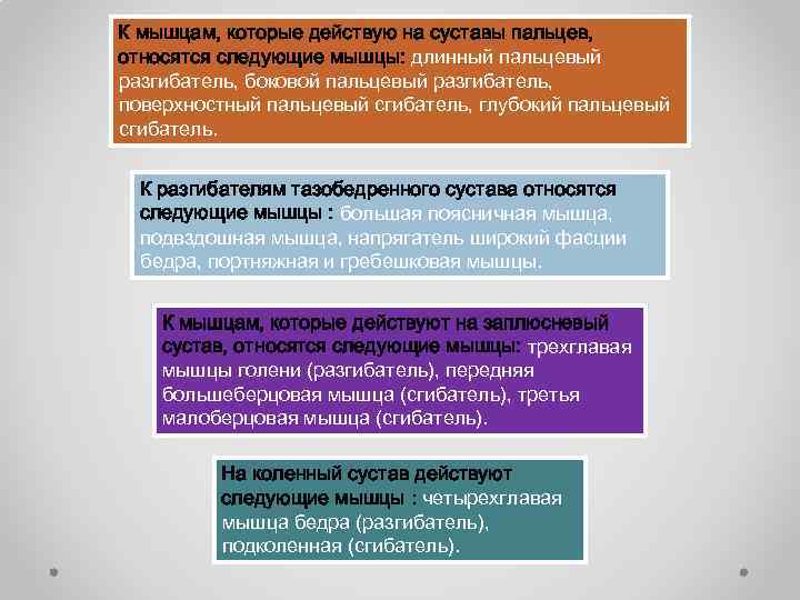 К мышцам, которые действую на суставы пальцев, относятся следующие мышцы: длинный пальцевый разгибатель, боковой