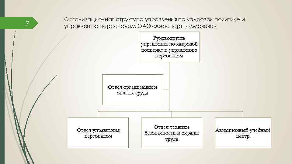 7 Организационная структура управления по кадровой политике и управлению персоналом ОАО «Аэропорт Толмачево» Руководитель