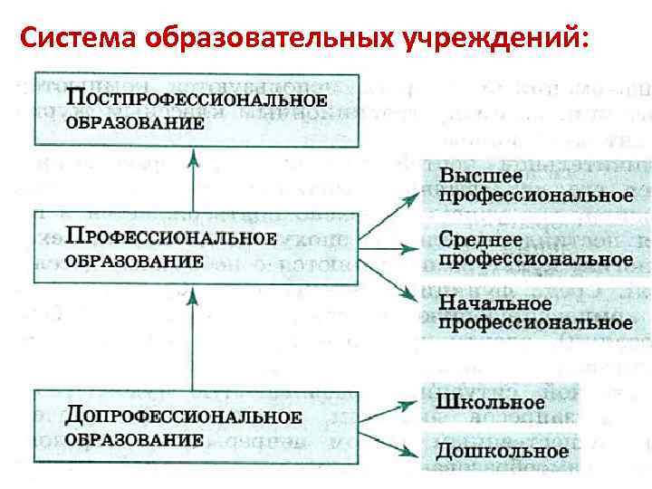 Система образовательной организации