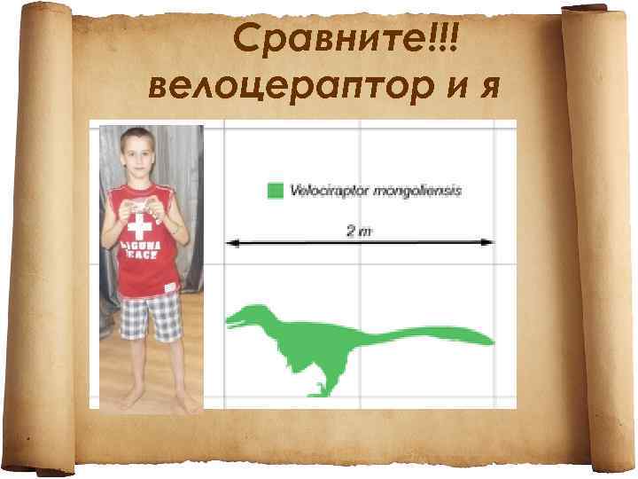 Сравните!!! велоцераптор и я 