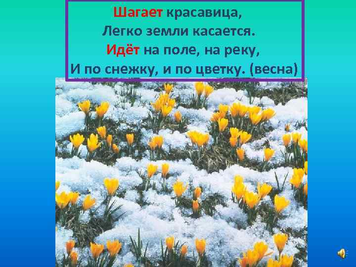 Шагает красавица, Легко земли касается. Идёт на поле, на реку, И по снежку, и