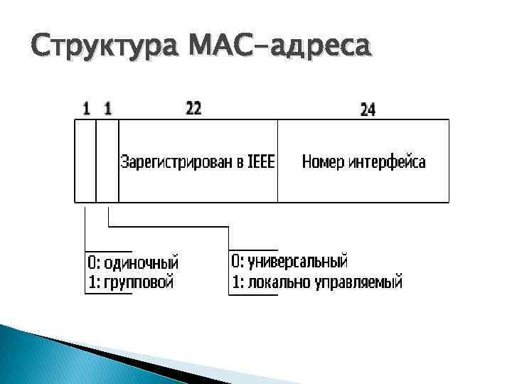 Структура MAC-адреса 