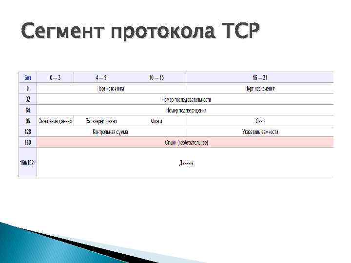 Сегмент протокола TCP 