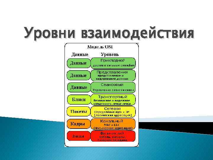 Первый уровень контакта. Уровни взаимодействия. Сетевая информационная модель. Уровни взаимоотношений.