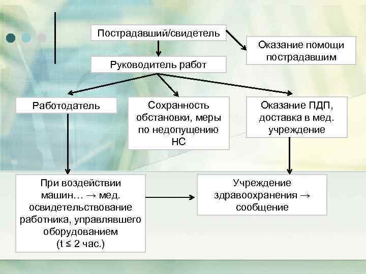 Пострадавший/свидетель Оказание помощи пострадавшим Руководитель работ Работодатель Сохранность обстановки, меры по недопущению НС При