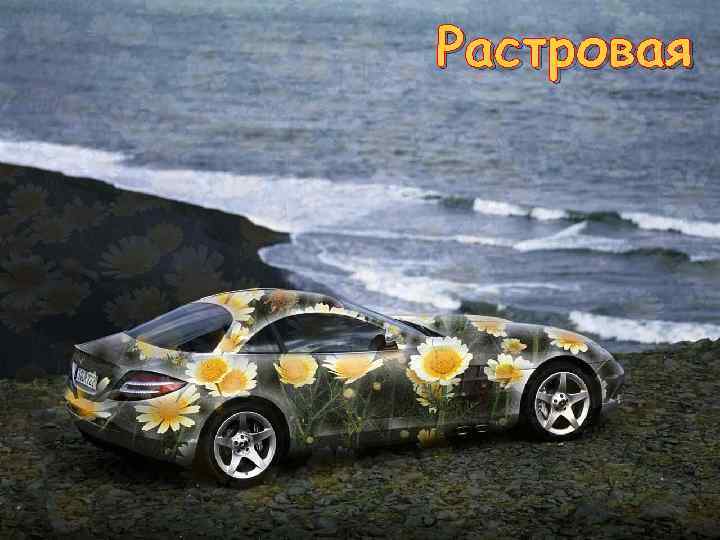 Растровая 
