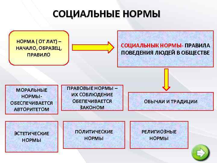 СОЦИАЛЬНЫЕ НОРМЫ НОРМА ( ОТ ЛАТ) – НАЧАЛО, ОБРАЗЕЦ, ПРАВИЛО МОРАЛЬНЫЕ НОРМЫОБЕСПЕЧИВАЕТСЯ АВТОРИТЕТОМ ЭСТЕТИЧЕСКИЕ