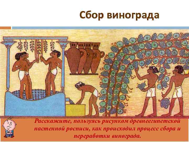 Сбор винограда Расскажите, пользуясь рисунком древнеегипетской настенной росписи, как происходил процесс сбора и переработки