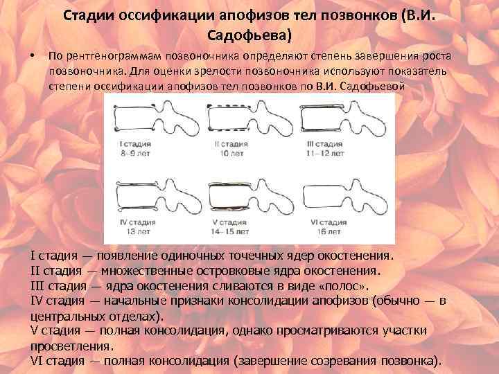 Полная консолидация