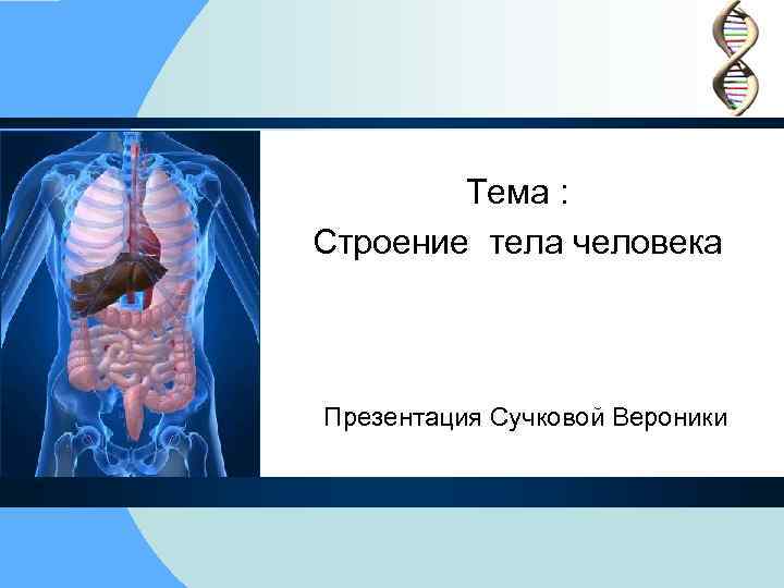 Тема : Строение тела человека Презентация Сучковой Вероники 