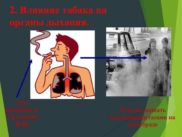 2. Влияние табака на органы дыхания. доза радиации, в 7 раз выше ПДК 16