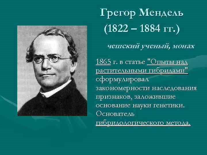 Грегор Мендель (1822 – 1884 гг. ) чешский ученый, монах 1865 г. в статье