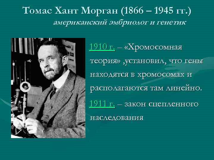 Томас Хант Морган (1866 – 1945 гг. ) американский эмбриолог и генетик 1910 г.