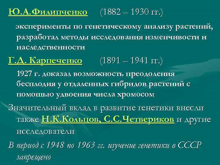 Ю. А. Филипченко (1882 – 1930 гг. ) эксперименты по генетическому анализу растений, разработал