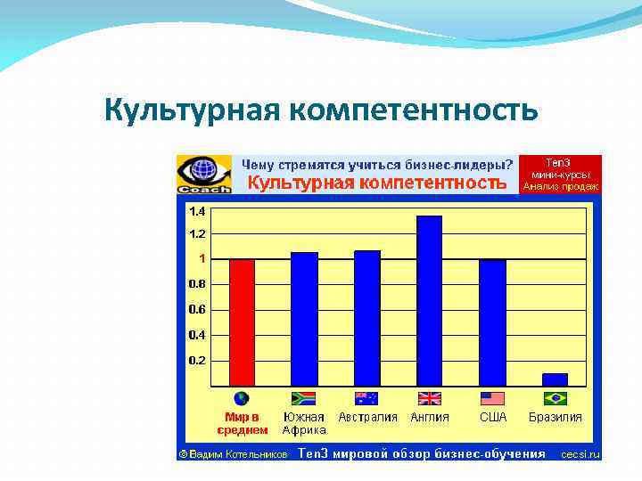 Культурная компетентность 