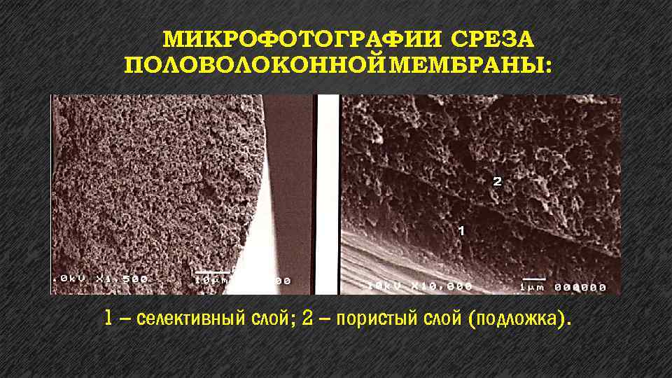 МИКРОФОТОГРАФИИ СРЕЗА ПОЛОВОЛОКОННОЙ МЕМБРАНЫ: 1 – селективный слой; 2 – пористый слой (подложка). 