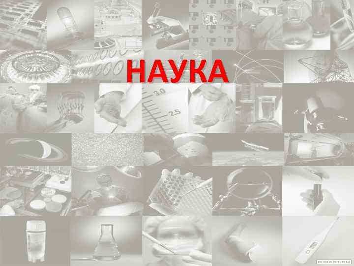 НАУКА 