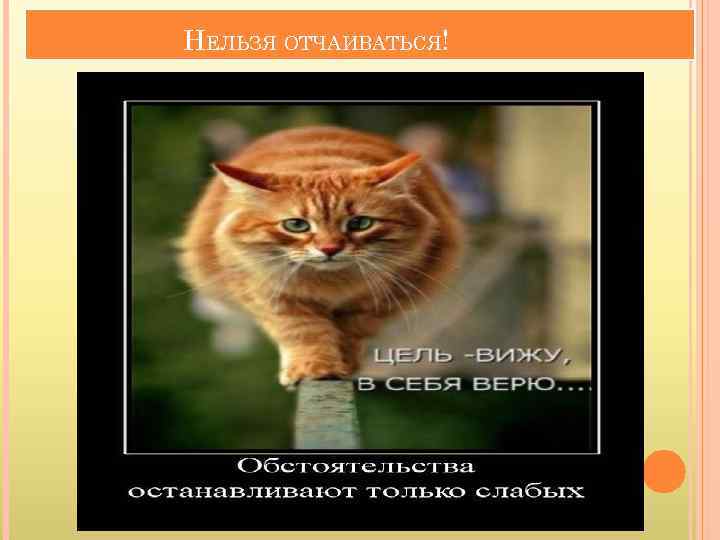 НЕЛЬЗЯ ОТЧАИВАТЬСЯ! 