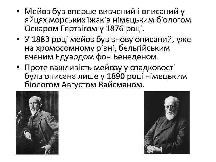  • Мейоз був вперше вивчений і описаний у яйцях морських їжаків німецьким біологом