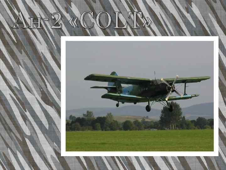 Ан-2 «COLT» 