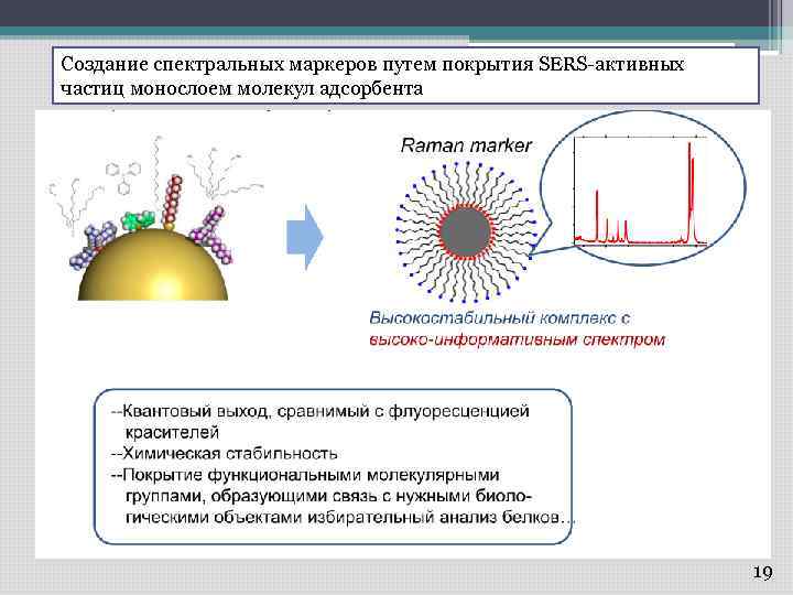 Создание спектральных маркеров путем покрытия SERS-активных частиц монослоем молекул адсорбента 19 