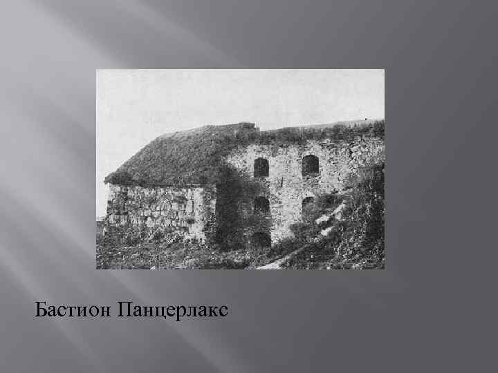 Бастион Панцерлакс 